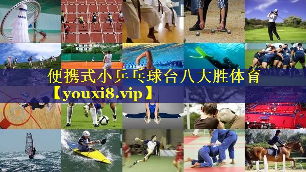 便携式小乒乓球台八大胜体育