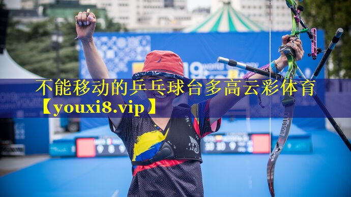 不能移动的乒乓球台多高云彩体育