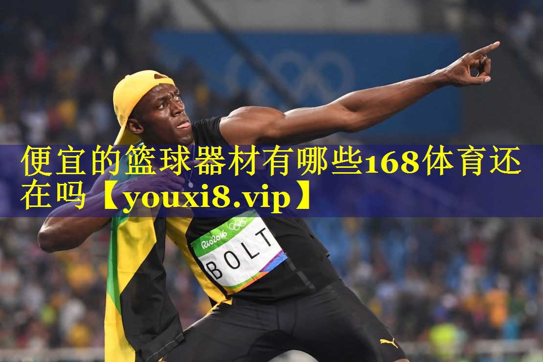 便宜的篮球器材有哪些168体育还在吗