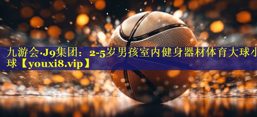 九游会·J9集团：2-5岁男孩室内健身器材体育大球小球