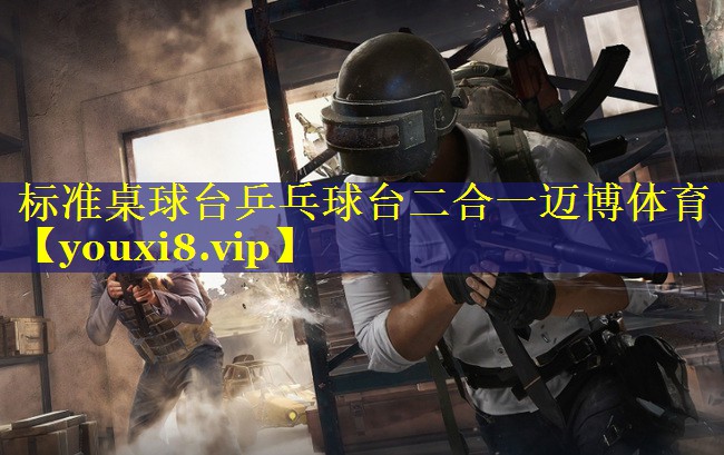 标准桌球台乒乓球台二合一迈博体育