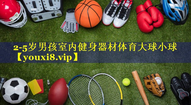 2-5岁男孩室内健身器材体育大球小球