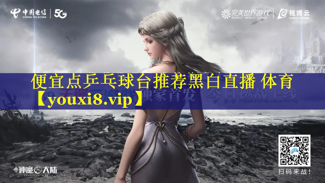 便宜点乒乓球台推荐黑白直播 体育