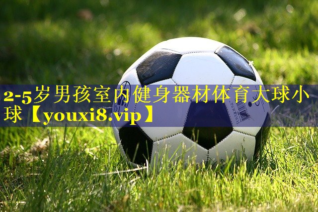 2-5岁男孩室内健身器材体育大球小球