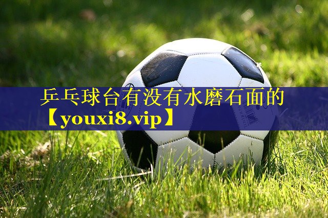 乒乓球台有没有水磨石面的 乒乓球台有没有水磨石面的