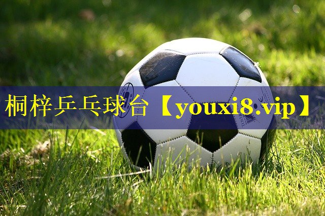 桐梓乒乓球台 桐梓乒乓球台