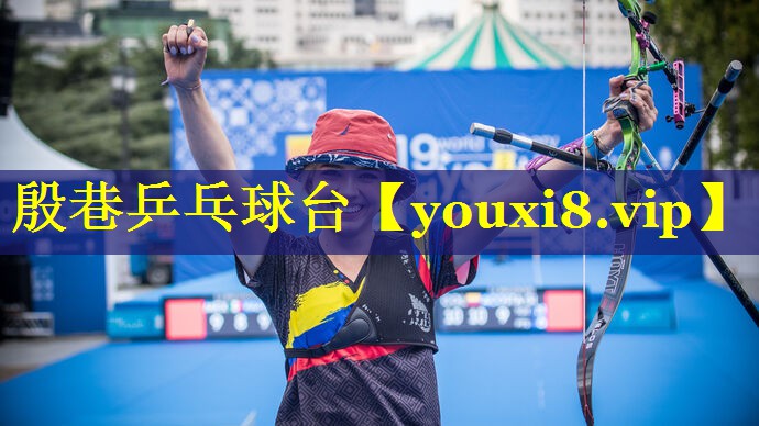 殷巷乒乓球台 殷巷乒乓球台