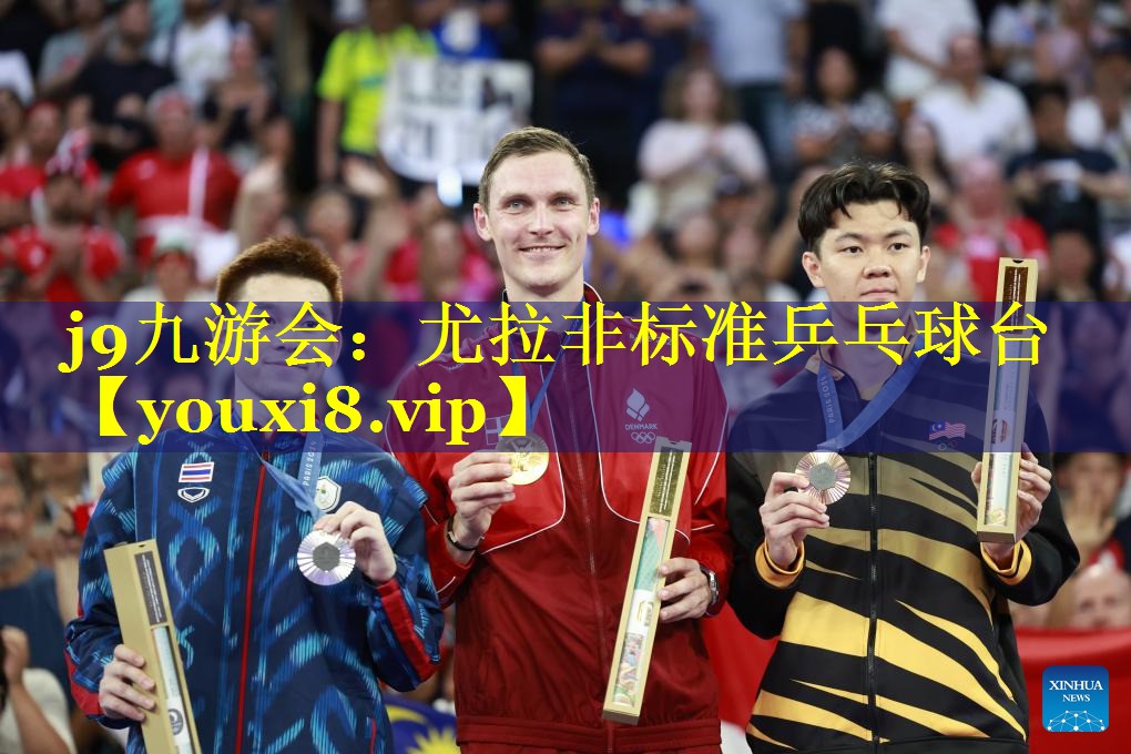 尤拉非标准乒乓球台 尤拉非标准乒乓球台