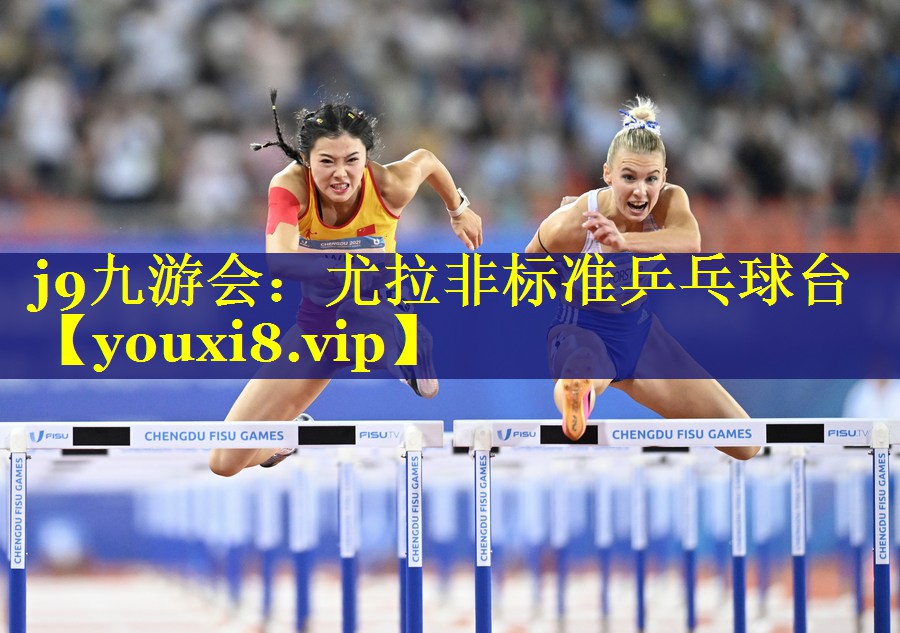 尤拉非标准乒乓球台 尤拉非标准乒乓球台