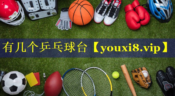 有几个乒乓球台 有几个乒乓球台