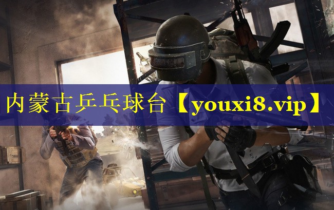 内蒙古乒乓球台 内蒙古乒乓球台