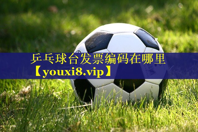 乒乓球台发票编码在哪里 乒乓球台发票编码在哪里